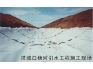 塔城白楊河引水工程施工現場(chǎng)