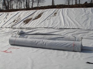 人工景觀(guān)湖防滲